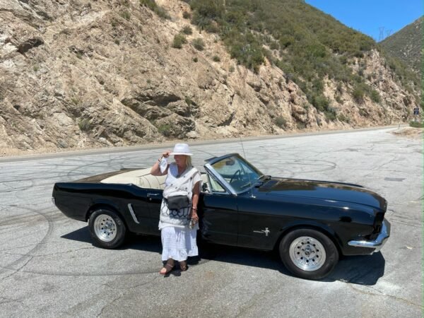 Massy Rides - Image 6