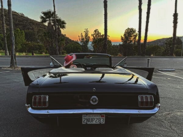 Massy Rides - Image 7