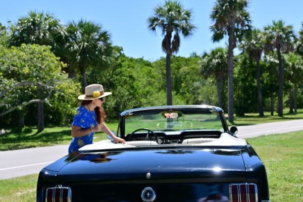 Massy Rides - Image 8